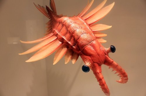 古生物真好玩儿第五期——寒武纪之王——奇虾(2019年8月15日)